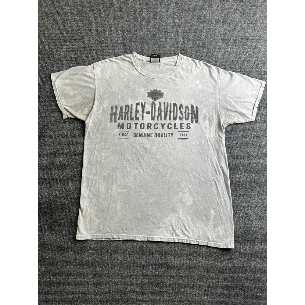 Mens Harley-Davidson Motorcycles Gray Faded Graphic T Shirt, Size L